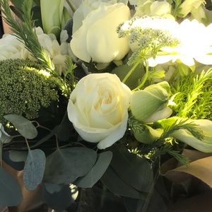 Meet your Posher, Paige